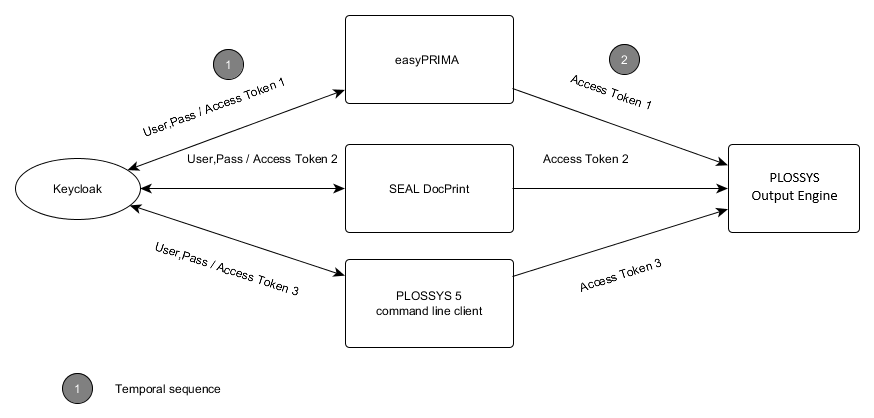 Password Flow Overview